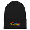 Load image into Gallery viewer, Prospect 3D Cuffed Beanie